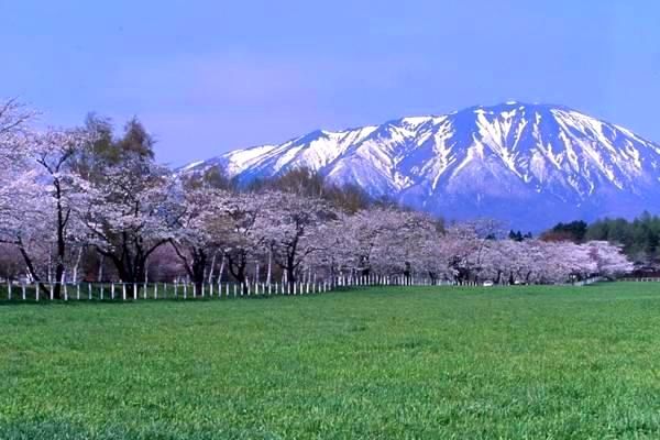 民族游戏产业迎政策春风，虚拟现实技术助力传统文化生活新体验